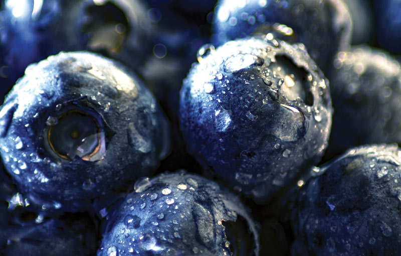 Best Selling Blueberries-PSI Product