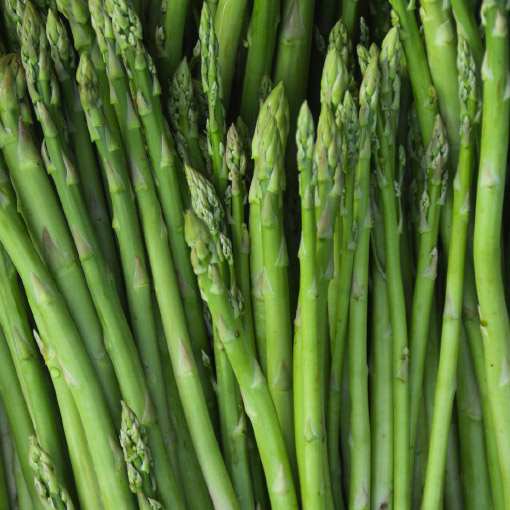 Asparagus Grown in Canada Available April - June