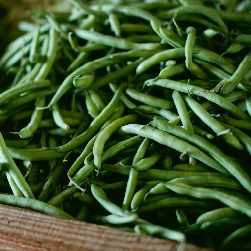 Green Beans