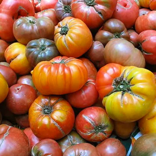 Heirloom Tomatoes