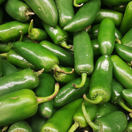 Jalapeno Pepper