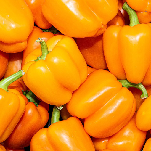 Orange-Bell-Peppers