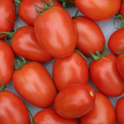 Roma Tomatoes