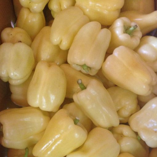 White-Peppers